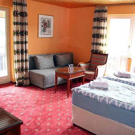 Neustädter Hof Hotell Titisee-Neustadt